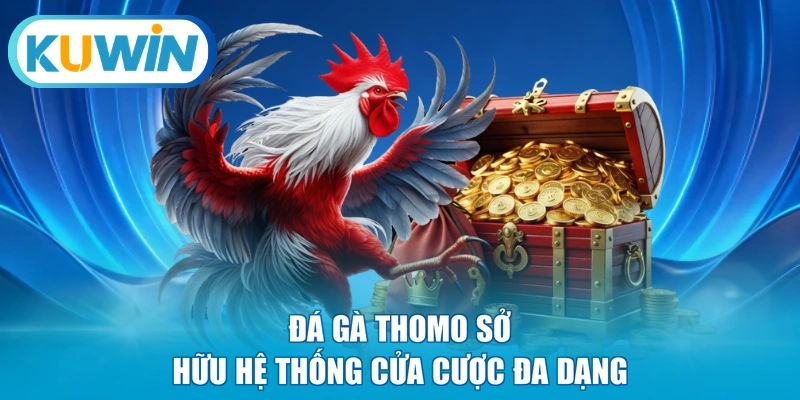 Đá gà Thomo sở hữu hệ thống cửa cược đa dạng