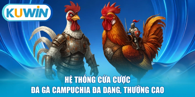 Hệ thống cửa cược đá gà Campuchia đa dạng, thưởng cao