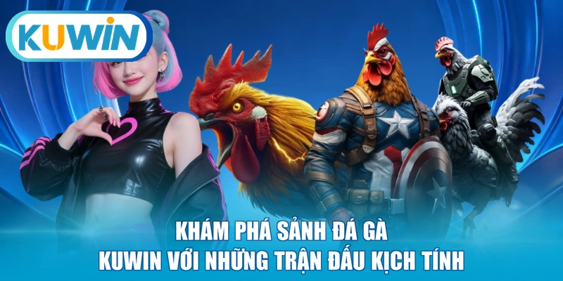 Khám phá sảnh đá gà KUWIN với những trận đấu kịch tính