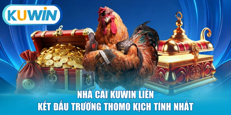 Nhà cái KUWIN liên kết đấu trường Thomo kịch tính nhất