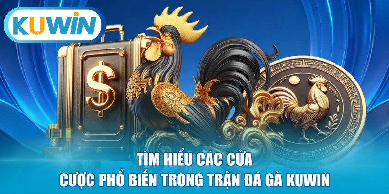 Tìm hiểu các cửa cược phổ biến trong trận đá gà KUWIN